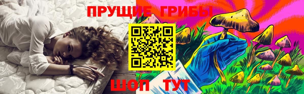Галлюциногенные грибы Psilocybe Борисоглебск